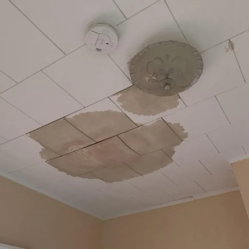 Ceiling Water Damage Repair in Elgin, MN