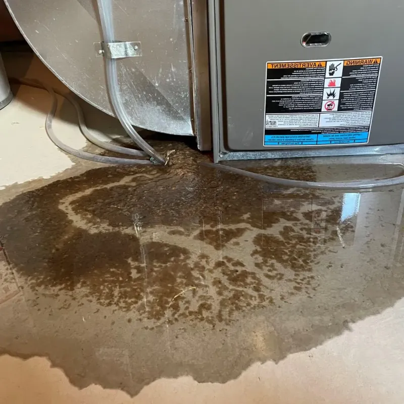 Pipe Burst and Leak Restoration in Elgin, MN