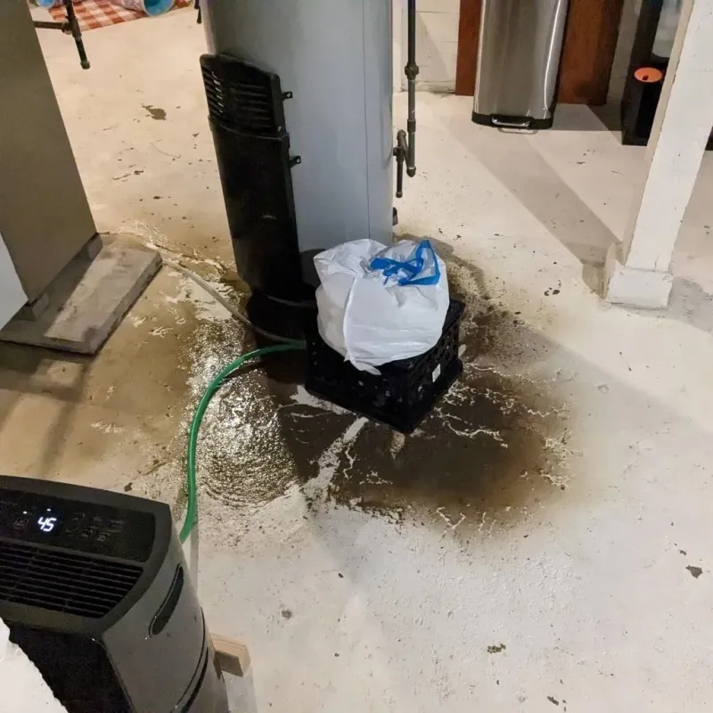 Sewage Backup Cleanup Service in Elgin, MN